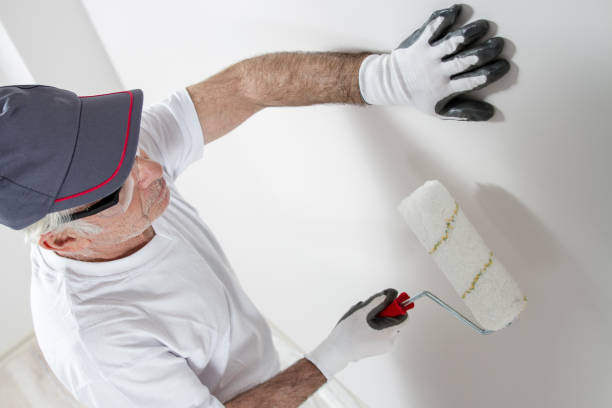 Trusted Pine Grove Mills, PA Mold Removal Experts